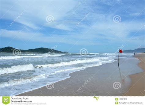 Florianópolis (floripa for short) is a coastal city in southern brazil, the capital of the state of santa catarina. Campeche Strand, Florianopolis, Brasilien Arkivfoto - Bild ...