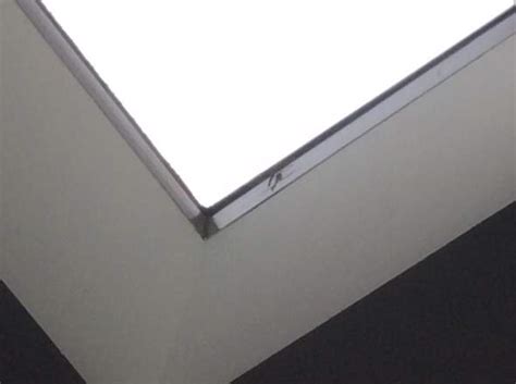 1961 gründeten ernst und josef schreyögg die libella fertighaus gmbh & co. Libelle im Haus, wie bekomme ich sie raus? (Tiere)