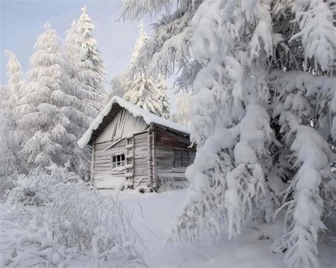 Cabin In The Woods During Winter Winter Pinterest
