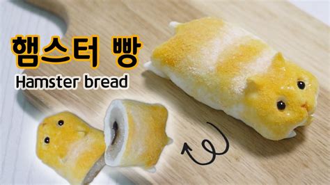햄스터 빵 만들기 Hamster Bread Recipe Youtube