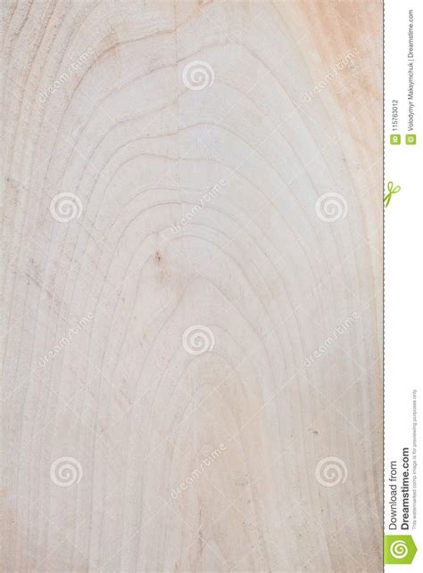 Slice Of Wood Timber Natural Background Stock Photo Image Of Crop