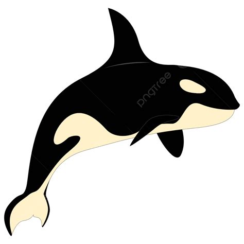 Killer Whale Silhouette Vector Png Jumping Killer Whale Orca Png Png