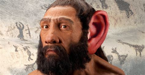 Scientists Now Believe They Know Why Neanderthals Went Extinct The