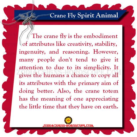 Crane Fly Spirit Animal Totem Meaning And Symbolic Significance