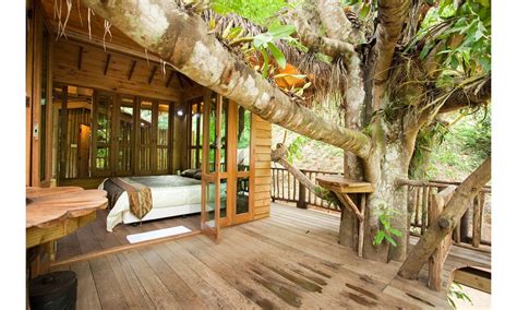 10 Of The Most Amazing Treehouses From Around The World Higher