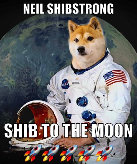 Latest Shiba Inu Coin Memes Shiba Crypto Memes Funny Pics Jokes