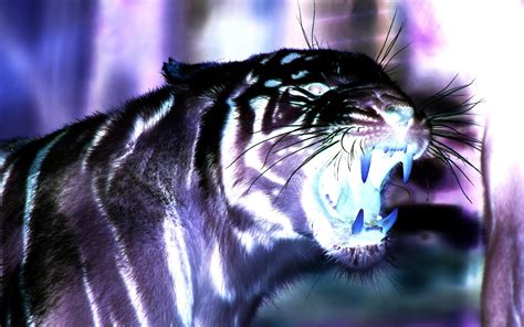 Purple Tiger Wallpapers Top Những Hình Ảnh Đẹp