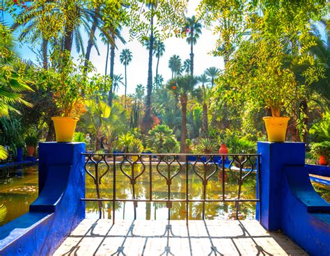 Le Jardin De Majorelle Lun Des Jardins Les Plus Enchanteurs Du Maroc