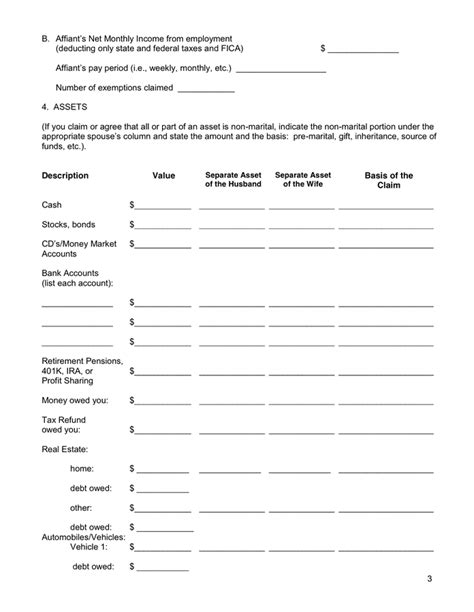 Financial Affidavit Template