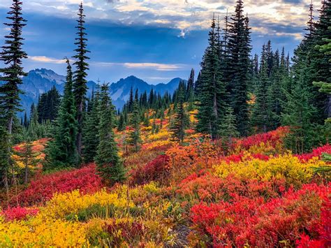 10 Seattle Area Hikes For Seeing Beautiful Fall Colors Curbed Seattle