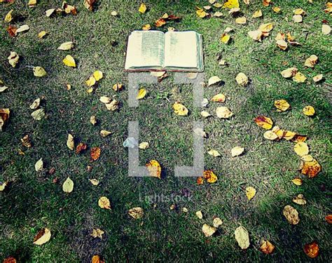 A Bible Against Grass And Fall Leaves — Photo — Lightstock