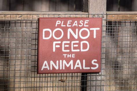 Do not feed the animals sign. Zoo Sign Stock Photos, Pictures & Royalty-Free Images - iStock