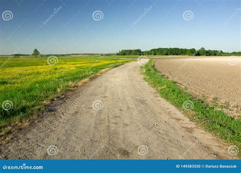 Gravel Road Through A Green Meadow With Yellow Flowers Plowed Field