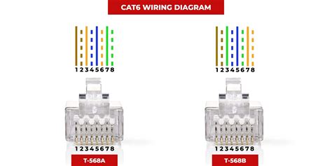 The Cat6 Wiring Diagram Diagram Circuit