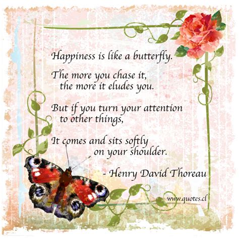 Happiness Is Like A Butterfly Quotes