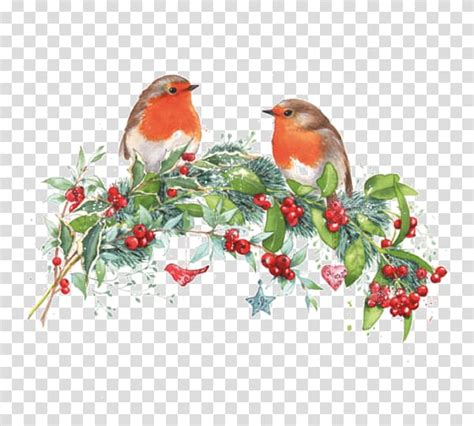 Maybe you would like to learn more about one of these? Christmas Robin Drawing Pin, wishing tree transparent ...