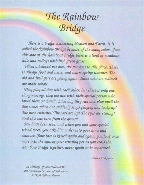 Dog Diy Memory Dogdiymemory Rainbow Bridge Poem Hills And Valleys