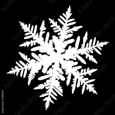 White Snowflake Shape Isolated On Black Background This Silhouette