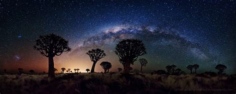 Apod 2016 May 15 Milky Way Over Quiver Tree Forest