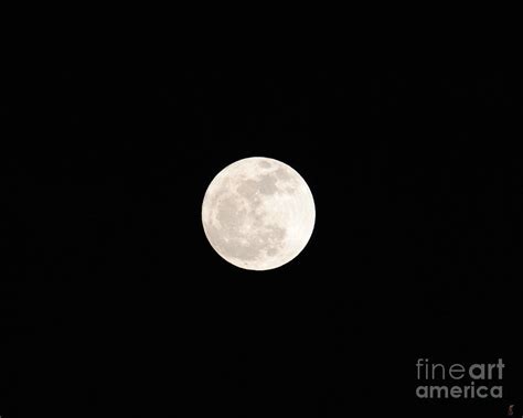 January Full Moon Photograph By Jai Johnson Fine Art America