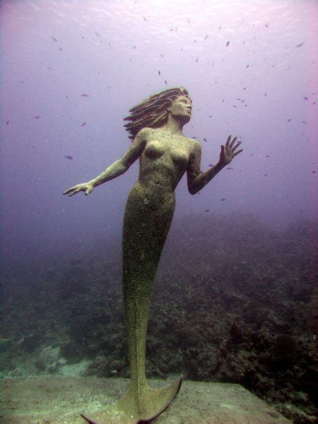 Amphitrite The Underwater Mermaid Statue At Grand Cayman Island