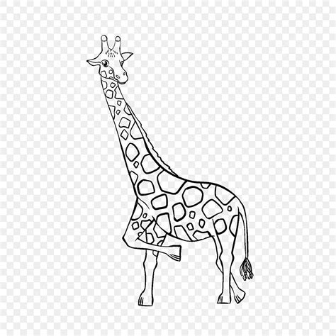Giraffe Clipart Black And White Cute Giraffe Giraffe Drawing Giraffe