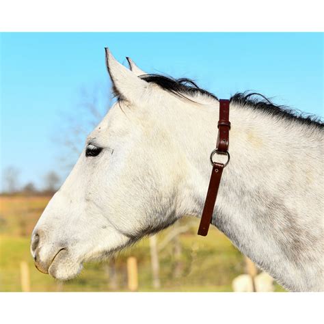 Two Horse Tack - BETTER THAN LEATHER Adjustable Neck Collar