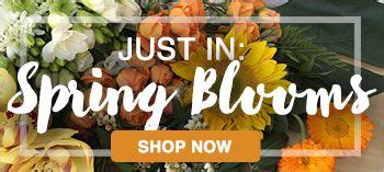 It's never been more convenient, or easy to have flowers delivered anywhere in melbourne or the state of victoria. Flower Delivery Melbourne | Flowers Melbourne From $25