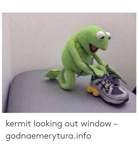 Kermit Looking Out Window Godnaemeryturainfo Looking Meme On Meme