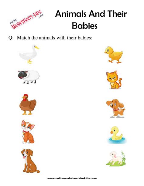 Animal And Their Babies Worksheet For Grade 1 8