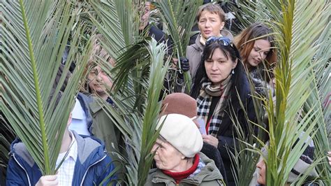 Waving Fronds Around The World Christians Mark Palm Sunday Abc13 Houston