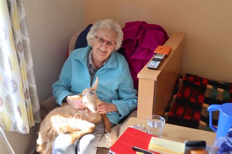 Celebrating our furry & feathered friends on World Animal Day