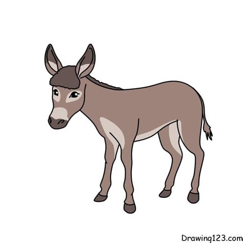 Pin Em Drawing Animal