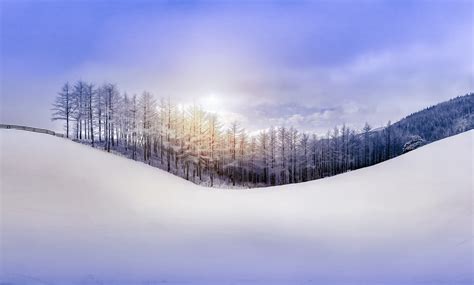 Nature Sky Forest Snow Hill Winter Wallpapers Hd Desktop And