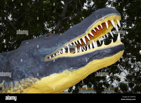 Giant Crocodile Statue Wyndham Kimberley Region Western Australia