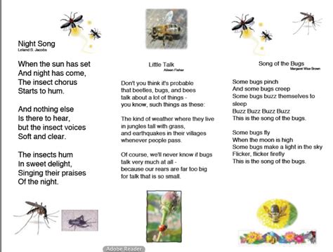 Insect Poems