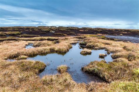 Peat And The Environment
