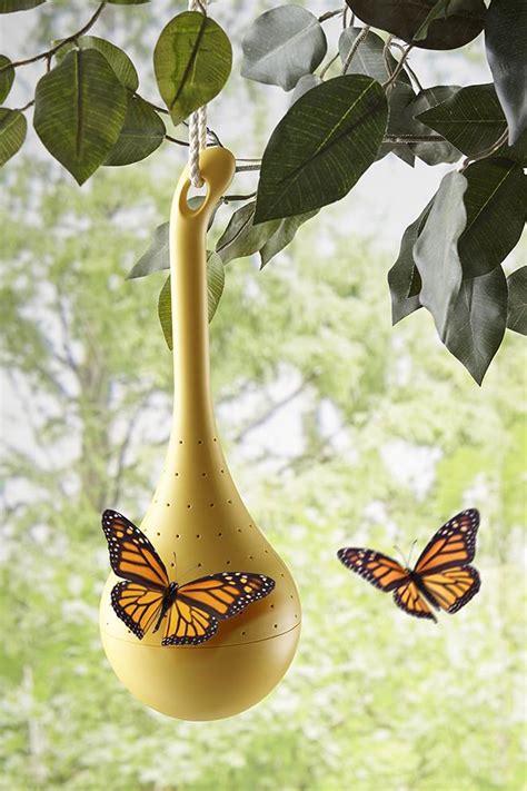 Hanging Butterfly Oasis Feeder In 2021 Hanging Butterfly Butterfly