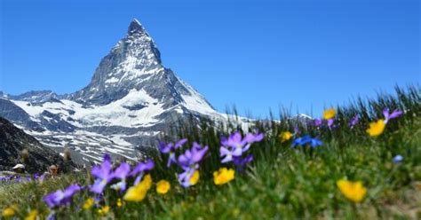 We sell parts and offer repair services on all brands and types of appliances. How To Be A Leading Swiss Appliance Brand