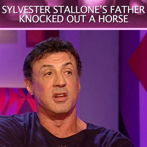 Sylvester Stallones Father Knocked Out A Horse Friday Night With