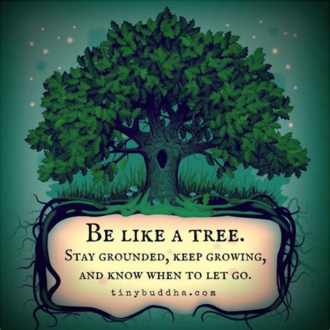 Pin By Carrie Pulley On Good Karma When To Let Go Tree Quotes