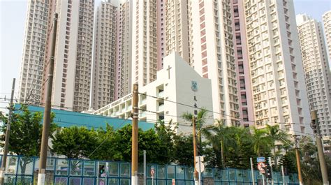The site owner hides the web page description. 天水圍循道衛理小學 Tin Shui Wai Methodist Primary School