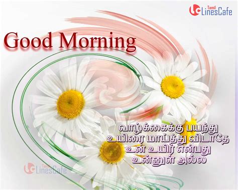 Wish on a text will make her feel extra special. Good Morning Greetings Kavithai Tamil | Tamil.LinesCafe.com