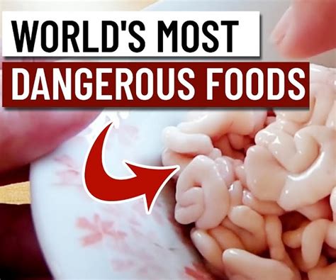 Ten Of The Most Dangerous Foods To Eat From Around The World