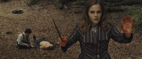 Image Hermione Casting Protective Enchantments Harry Potter