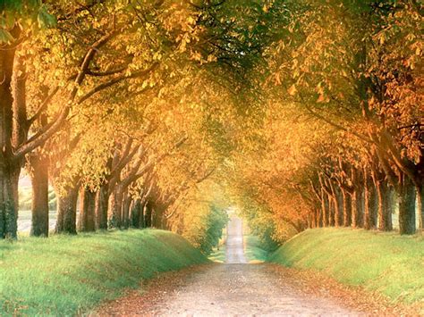 Seenwall Autumn Gallery Wallpaper Page 7