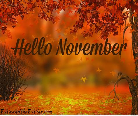 Hello November Pictures