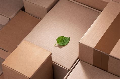 6 Companies Innovating Eco Friendly Packaging Sifted