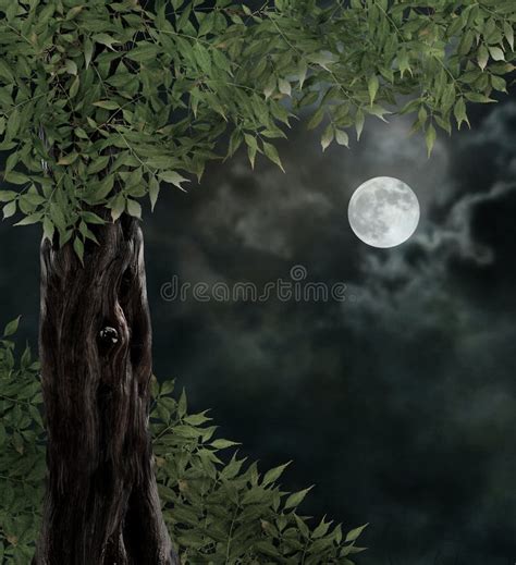 Fabulous Night Scenery Ancient Trees Stock Illustration Illustration