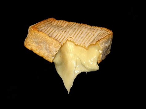 Fromage à pâte molle croûte lavée 18 52 thème Foo